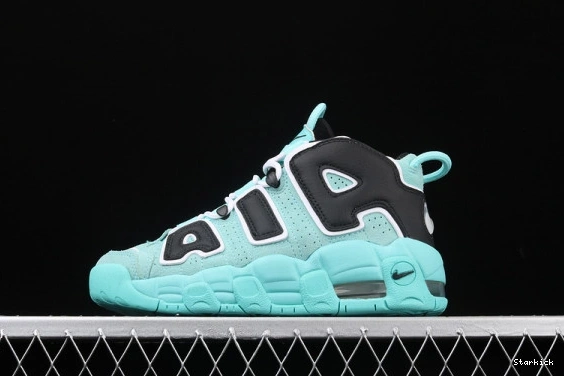 Tiffany 415082-403 (GS) Air More  Uptempo 0709